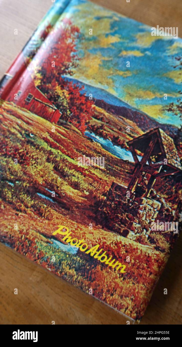 Albums photo vintage, de la trentaine aux années 70. Album auto-adhésif. Étrange peinture rustique sur le devant. Superbe photo de blocage d'or. Banque D'Images
