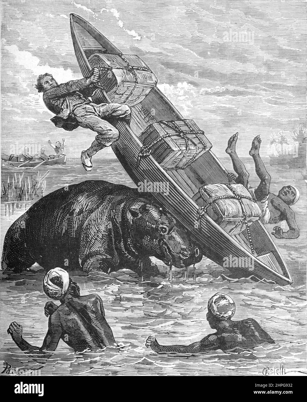 Explorateur français Savorgnan de Brazza (1852-1905) bateau renversé par Hippo ou Hippopotamus, Hippopotamus amphibius, en Afrique. Illustration ancienne ou gravure 1879 (Castelli) Banque D'Images