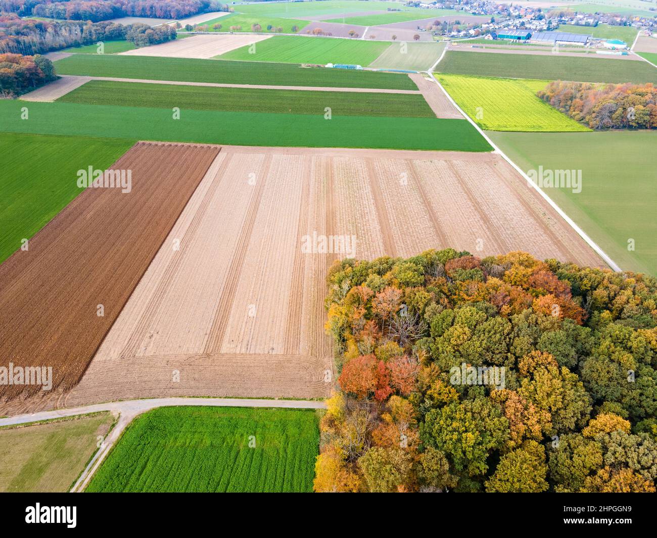 Vue aérienne des champs agricoles. Champs des terres agricoles. Photo de drone Banque D'Images