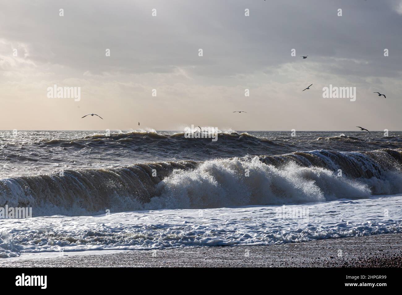 Vue sur la mer à Brighton lors d'une journée venteuse, avec Seagulls Flying Overhead Banque D'Images