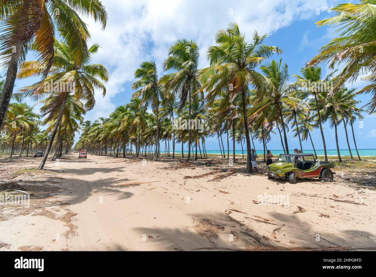 Ipojuca, PE, Brésil - 15 octobre 2021 : buggy touristique à la Rota dos Coqueiros. Promenade en buggy, une attraction touristique de la plage de Maracaipe. Banque D'Images