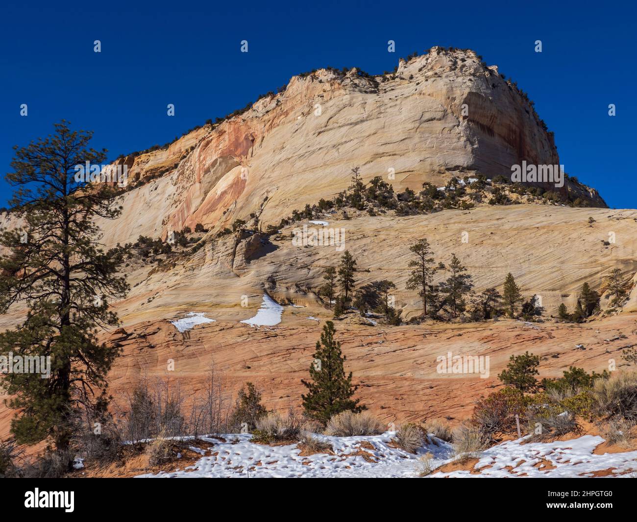 Falaises le long de la route de jonction de Zion-Mount Carmel, en hiver, parc national de Zion, Utah. Banque D'Images