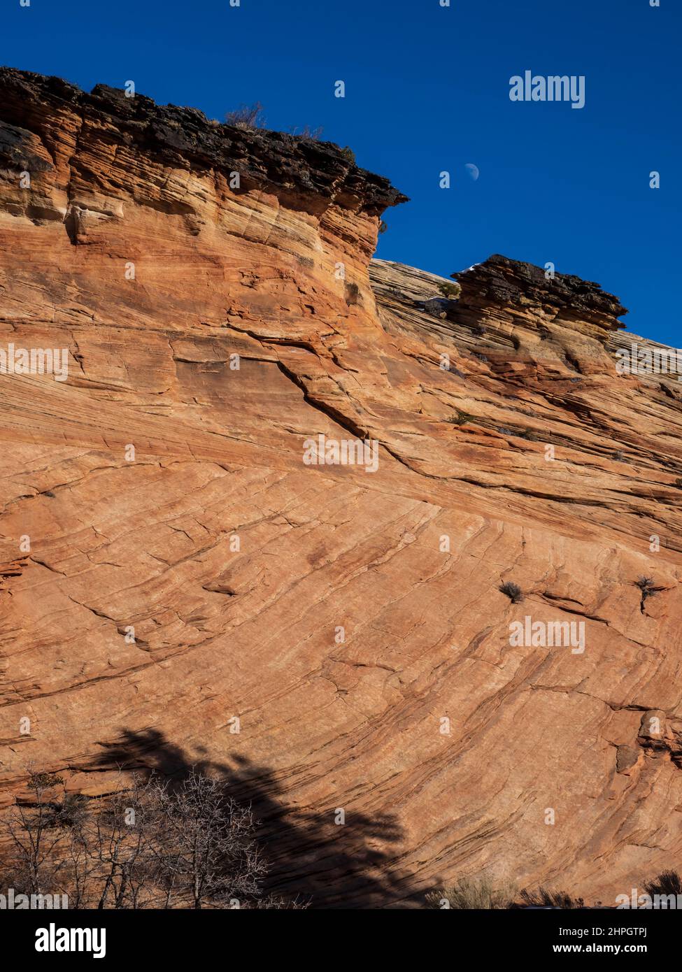 Falaises et lune, Zion-Mount Carmel Highway, hiver, parc national de Zion, Utah. Banque D'Images