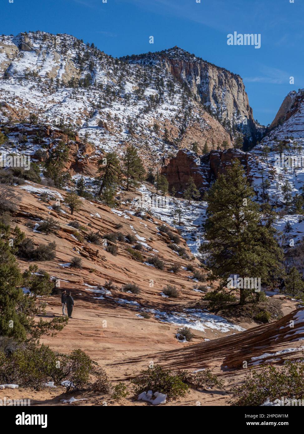 Falaises et canyon le long de la Zion-Mount Carmel Highway, en hiver, parc national de Zion, Utah. Banque D'Images