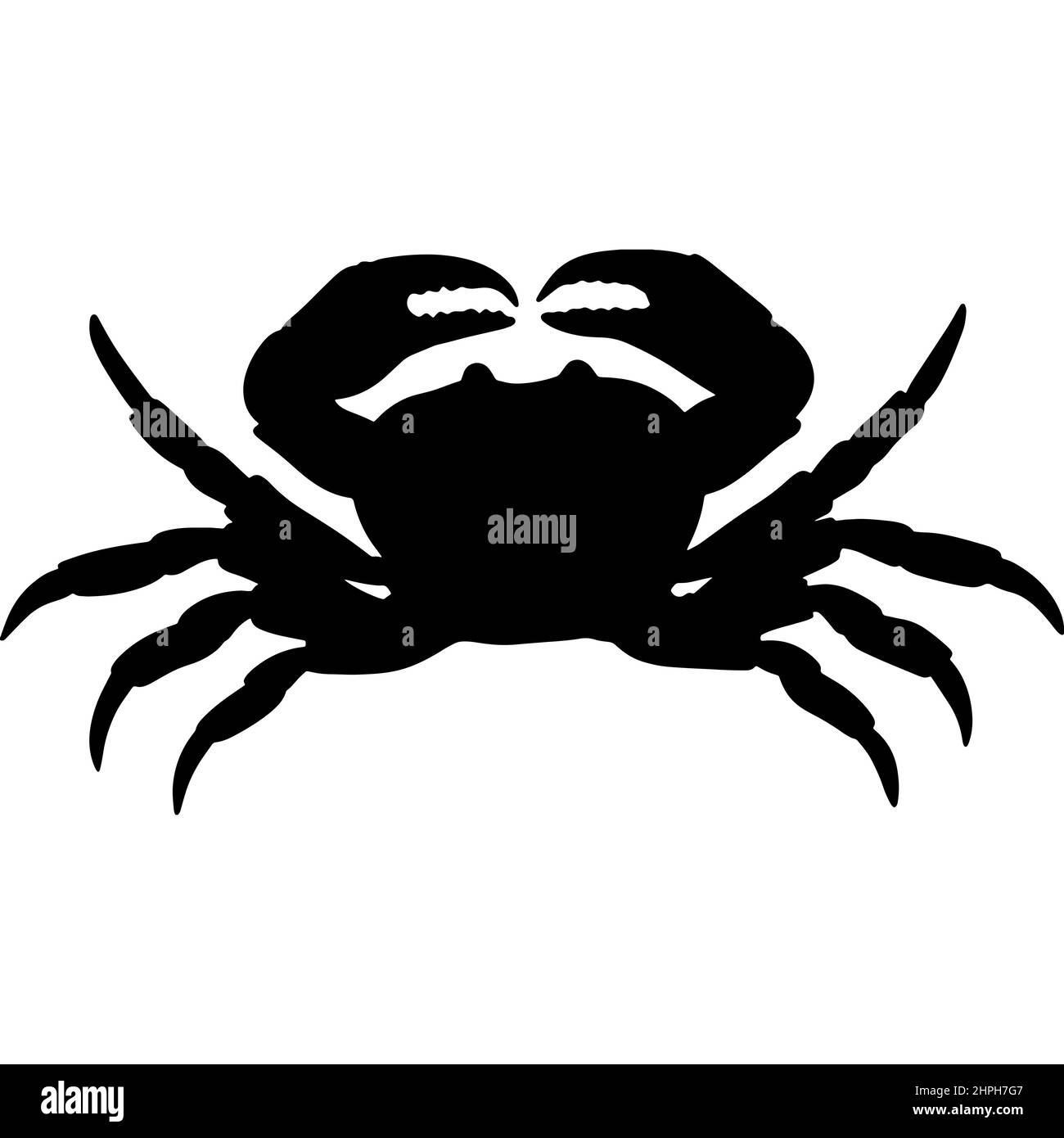 Silhouette noire d'un héron. Un oiseau d'eau. Un parent de la cigogne et de la grue. Illustration d'un animal Banque D'Images