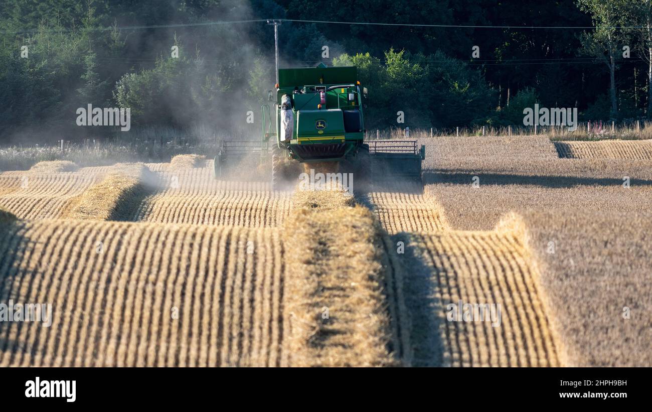 Combinaison d'une récolte de blé avec une moissonneuse-batteuse John Deere T670 près de Lanark, en Écosse, au Royaume-Uni. Banque D'Images