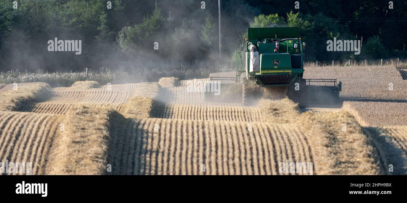 Combinaison d'une récolte de blé avec une moissonneuse-batteuse John Deere T670 près de Lanark, en Écosse, au Royaume-Uni. Banque D'Images