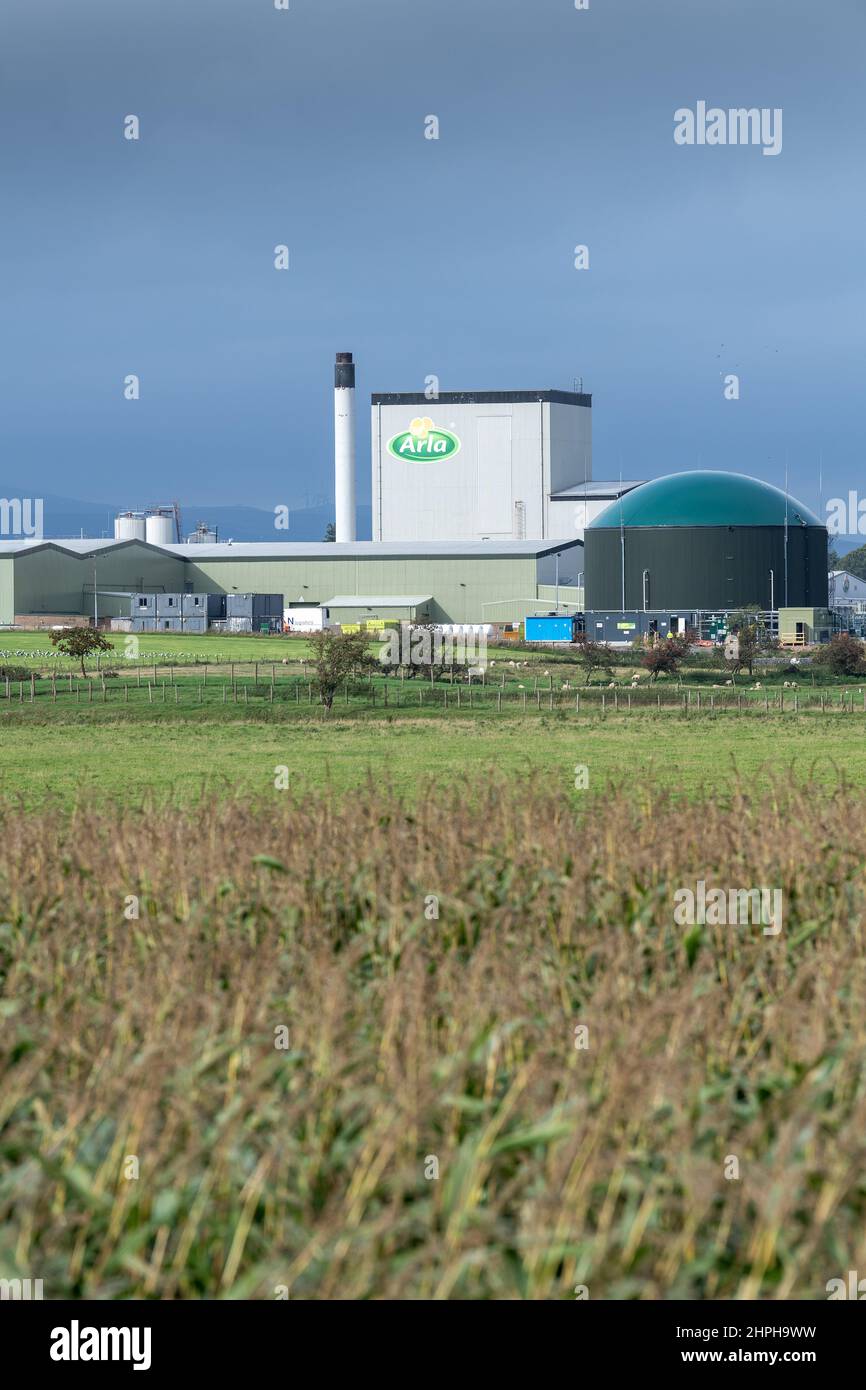 Usine de traitement du lait ARLA près de Lockerbie à Dumfries et Galloway, Écosse, Royaume-Uni. Banque D'Images