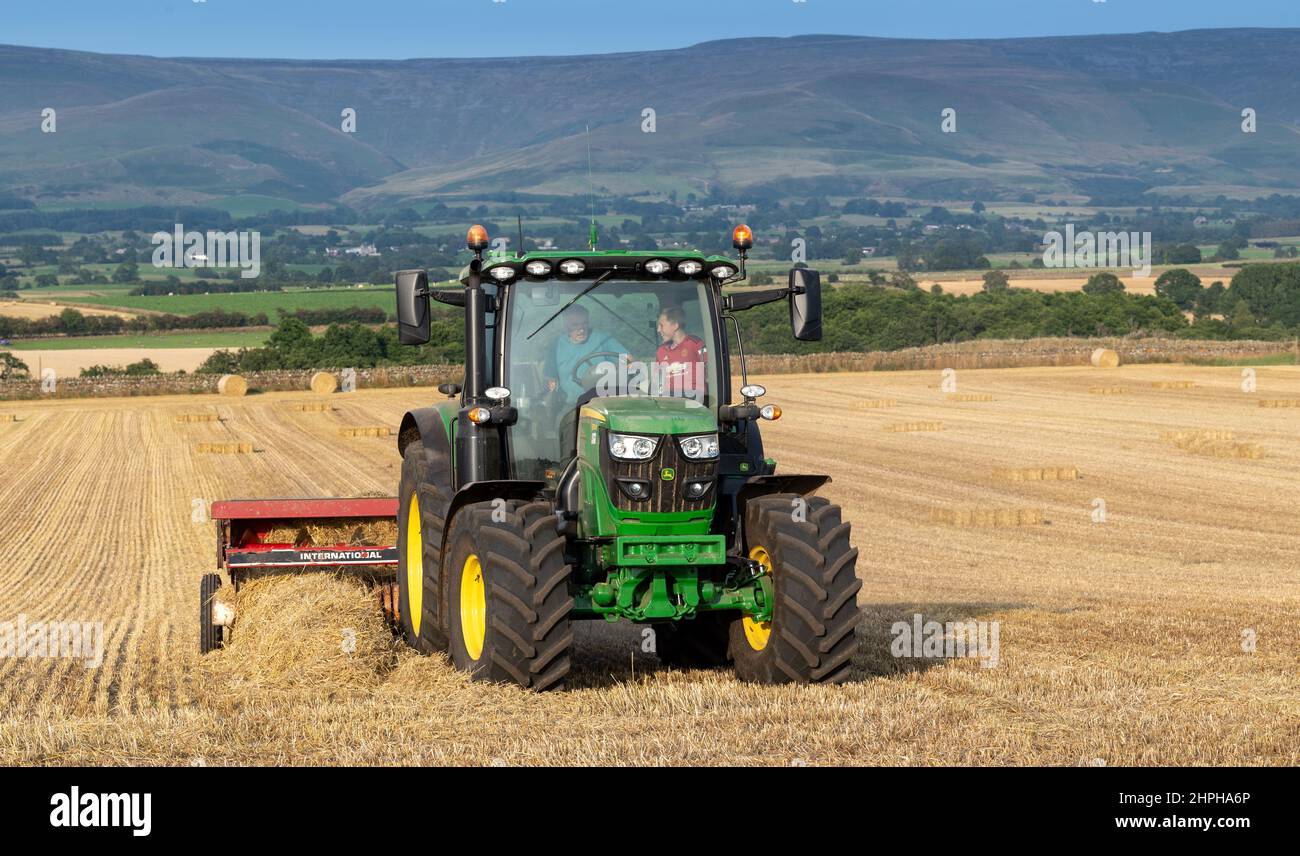 Réalisation de balles de paille pour la litière d'animaux avec un tracteur John Deere 6130R et une ancienne presse internationale et un système plat 8. Eden Valley, Cumbria, Royaume-Uni. Banque D'Images