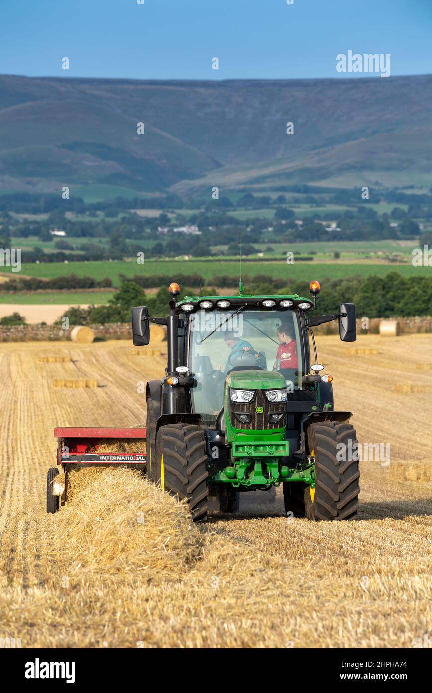 Réalisation de balles de paille pour la litière d'animaux avec un tracteur John Deere 6130R et une ancienne presse internationale et un système plat 8. Eden Valley, Cumbria, Royaume-Uni. Banque D'Images