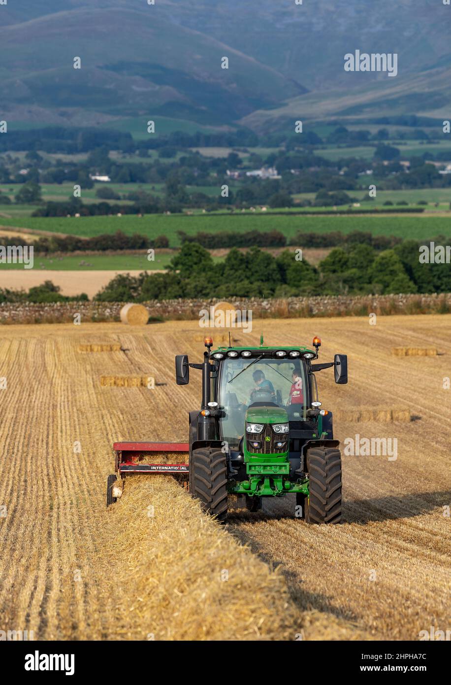 Réalisation de balles de paille pour la litière d'animaux avec un tracteur John Deere 6130R et une ancienne presse internationale et un système plat 8. Eden Valley, Cumbria, Royaume-Uni. Banque D'Images