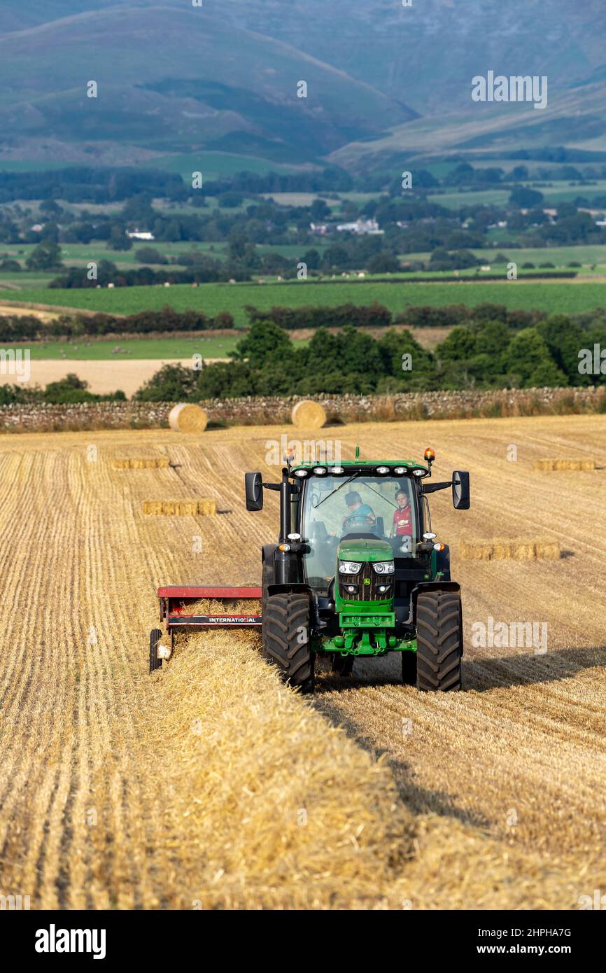 Réalisation de balles de paille pour la litière d'animaux avec un tracteur John Deere 6130R et une ancienne presse internationale et un système plat 8. Eden Valley, Cumbria, Royaume-Uni. Banque D'Images