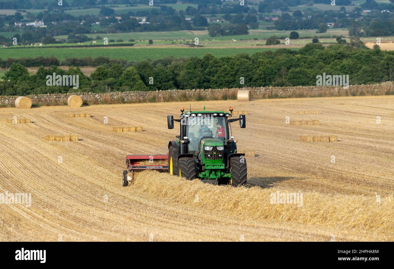 Réalisation de balles de paille pour la litière d'animaux avec un tracteur John Deere 6130R et une ancienne presse internationale et un système plat 8. Eden Valley, Cumbria, Royaume-Uni. Banque D'Images