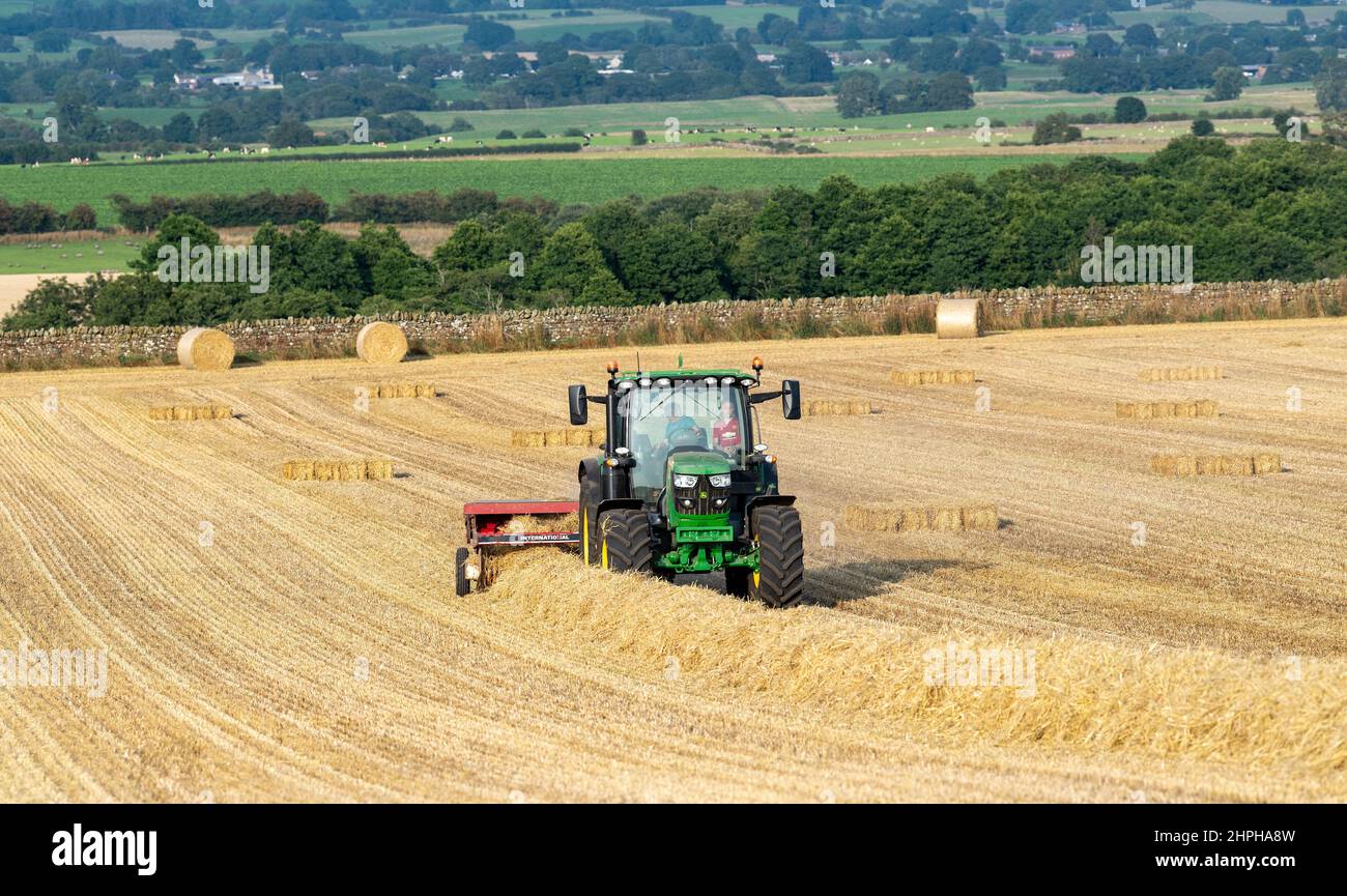Réalisation de balles de paille pour la litière d'animaux avec un tracteur John Deere 6130R et une ancienne presse internationale et un système plat 8. Eden Valley, Cumbria, Royaume-Uni. Banque D'Images