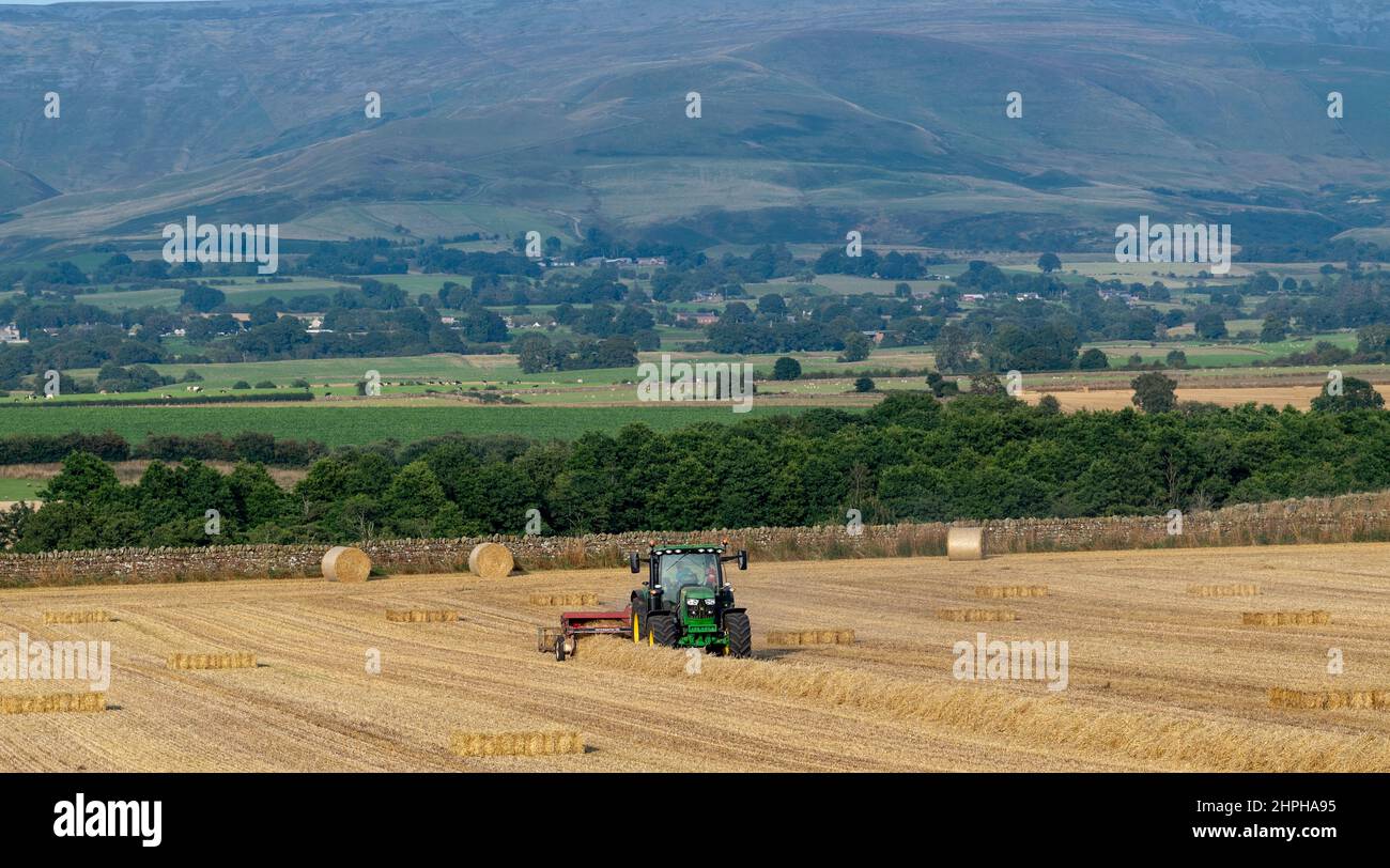 Réalisation de balles de paille pour la litière d'animaux avec un tracteur John Deere 6130R et une ancienne presse internationale et un système plat 8. Eden Valley, Cumbria, Royaume-Uni. Banque D'Images
