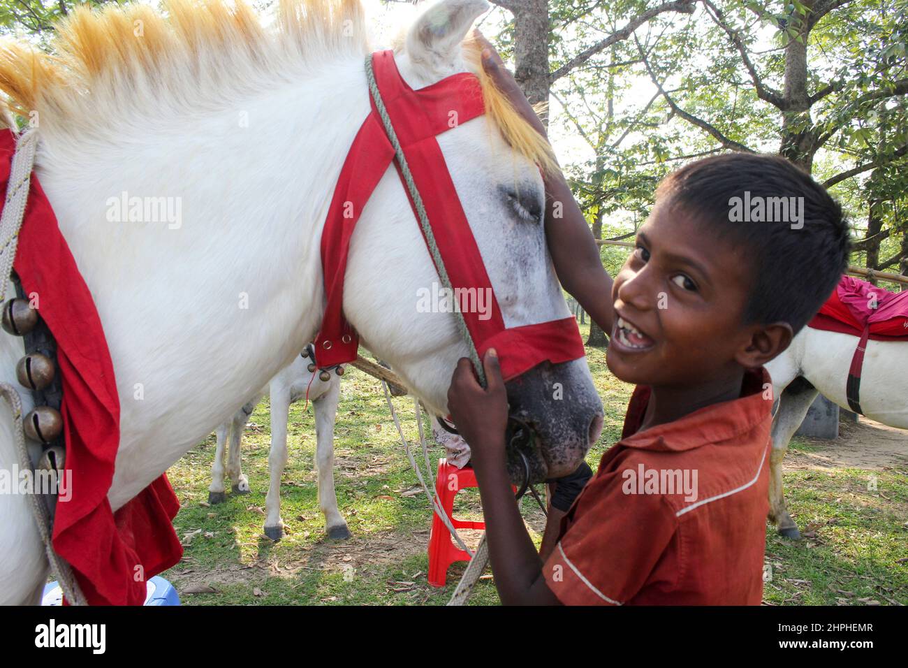 Le cheval est un petit conducteur Banque D'Images