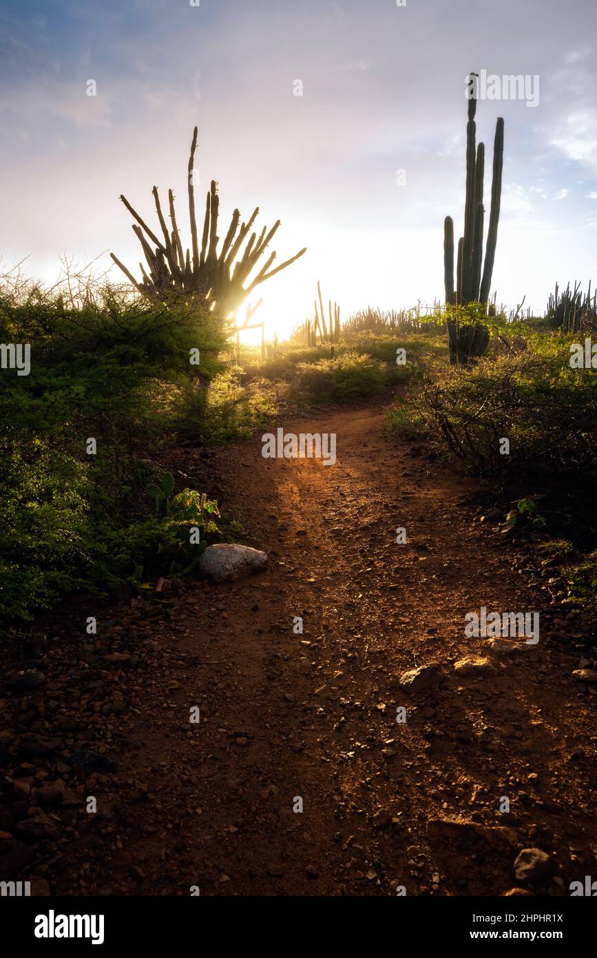 Le lever du soleil brille à l'intérieur d'Aruba où le paysage ressemble davantage au sud-ouest américain. Banque D'Images