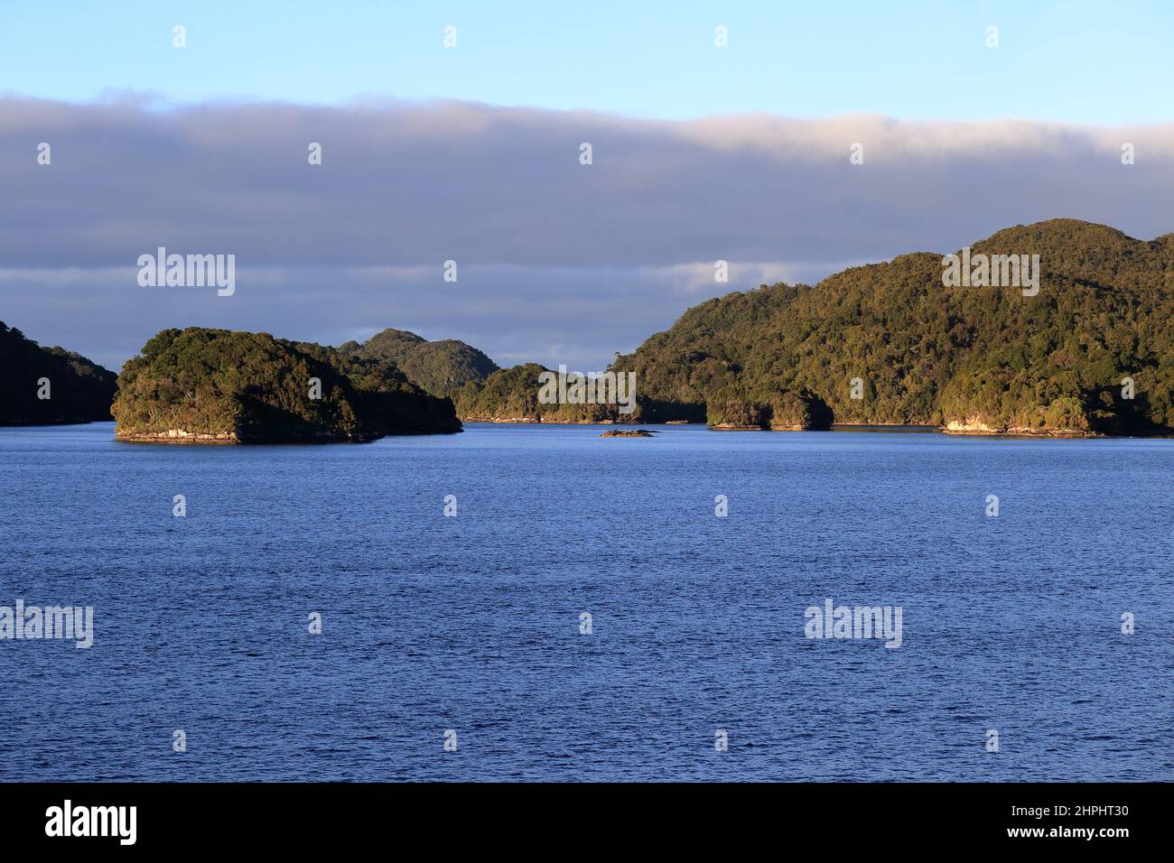 Nombreuses îles Anchor Island Dusky Sound Fiordland Nouvelle-Zélande Banque D'Images