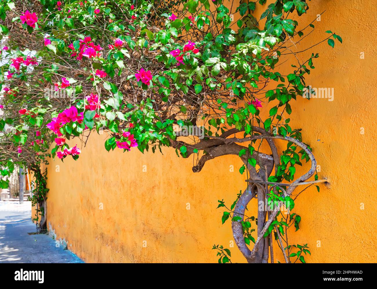 Rues pittoresques de Tlaquepaque pendant une haute saison touristique. Banque D'Images