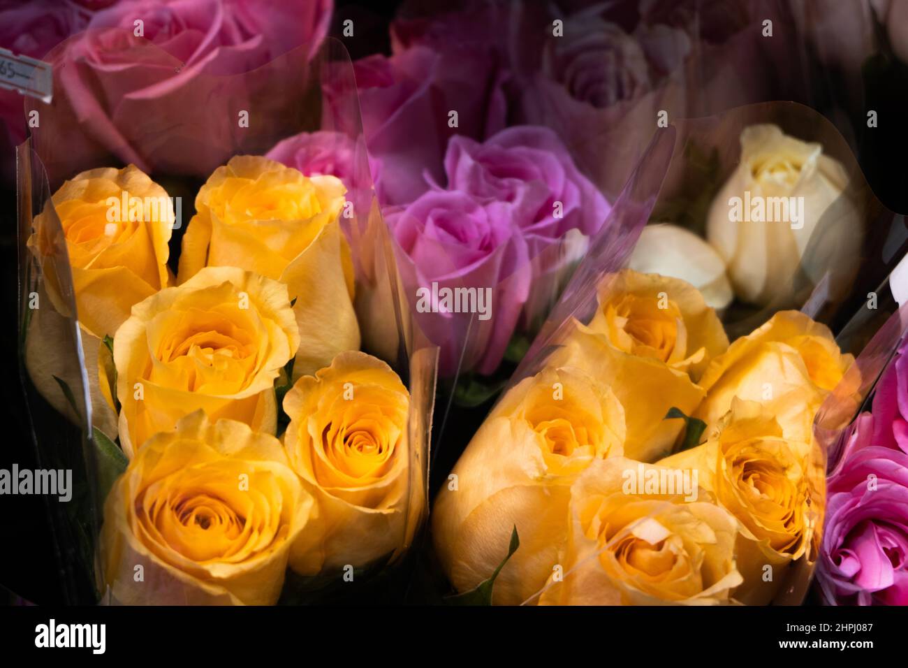 Bouquet de fleurs avec roses pourpres et orange enveloppées dans un emballage en plastique Banque D'Images