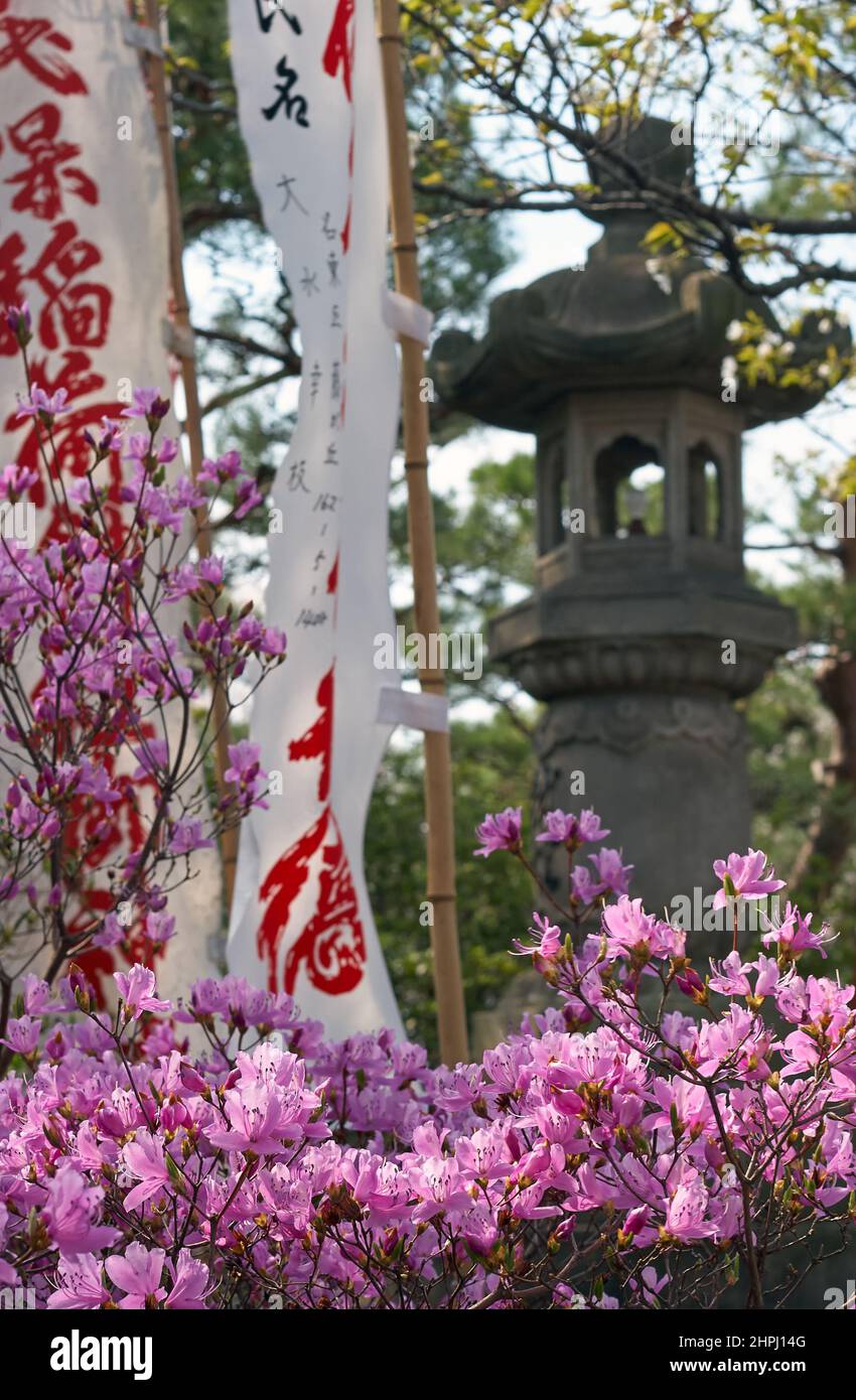 Nagoya, Japon - 29 mars 2008 : vue sur les fleurs de Rhododendron, la lanterne en pierre de toro et les drapeaux de vacances pendant le festival de hanami du printemps i Banque D'Images