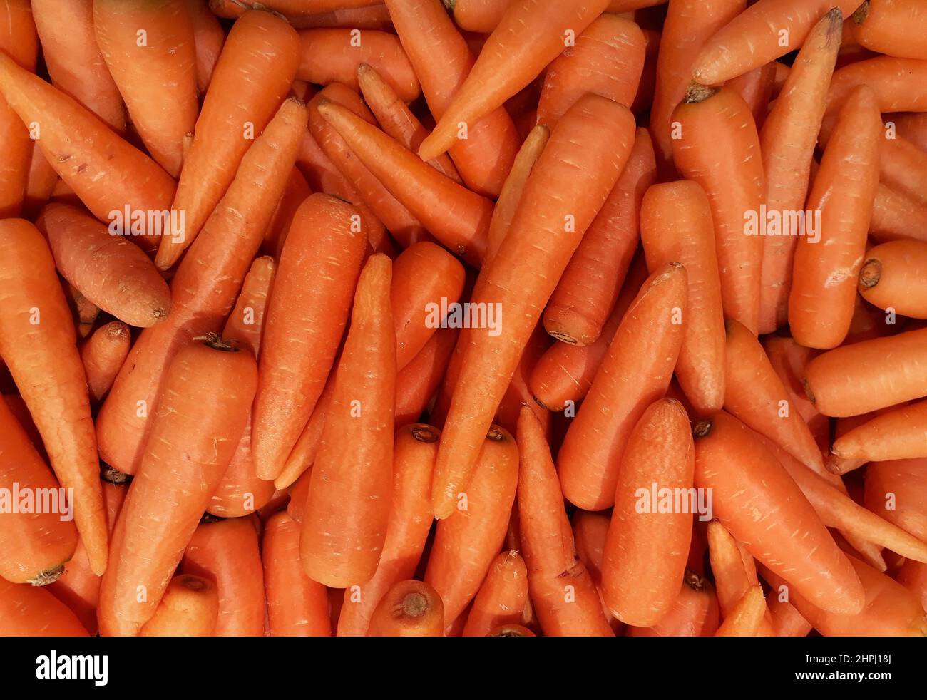 texture de fond des gros légumes frais de carottes orange dans le supermarché. Banque D'Images