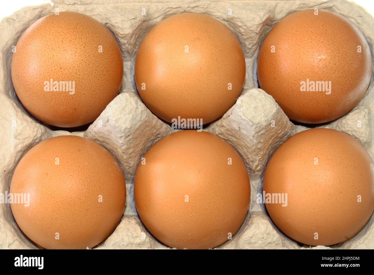 UNE DEMI-DOUZAINE D'OEUFS DE POULETS BRUNS DANS UN CARTON Banque D'Images