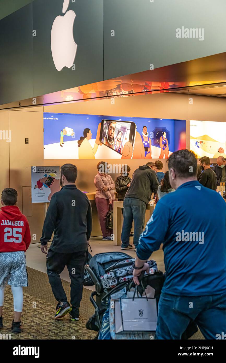 Apple Store au Mall of Georgia à Buford, en Géorgie, au nord-est d'Atlanta. (ÉTATS-UNIS) Banque D'Images