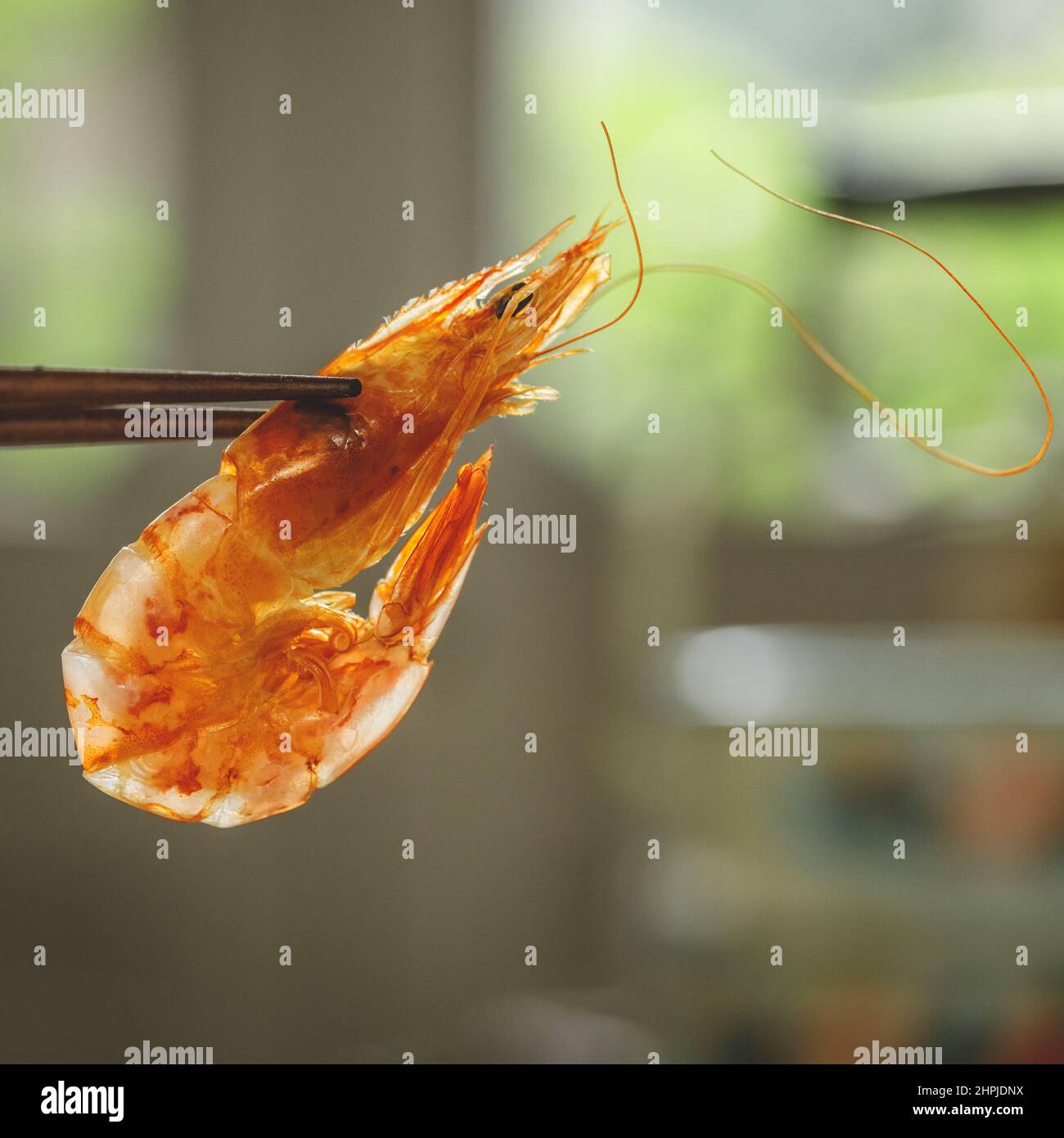 La crevette de la rivière Banque D'Images