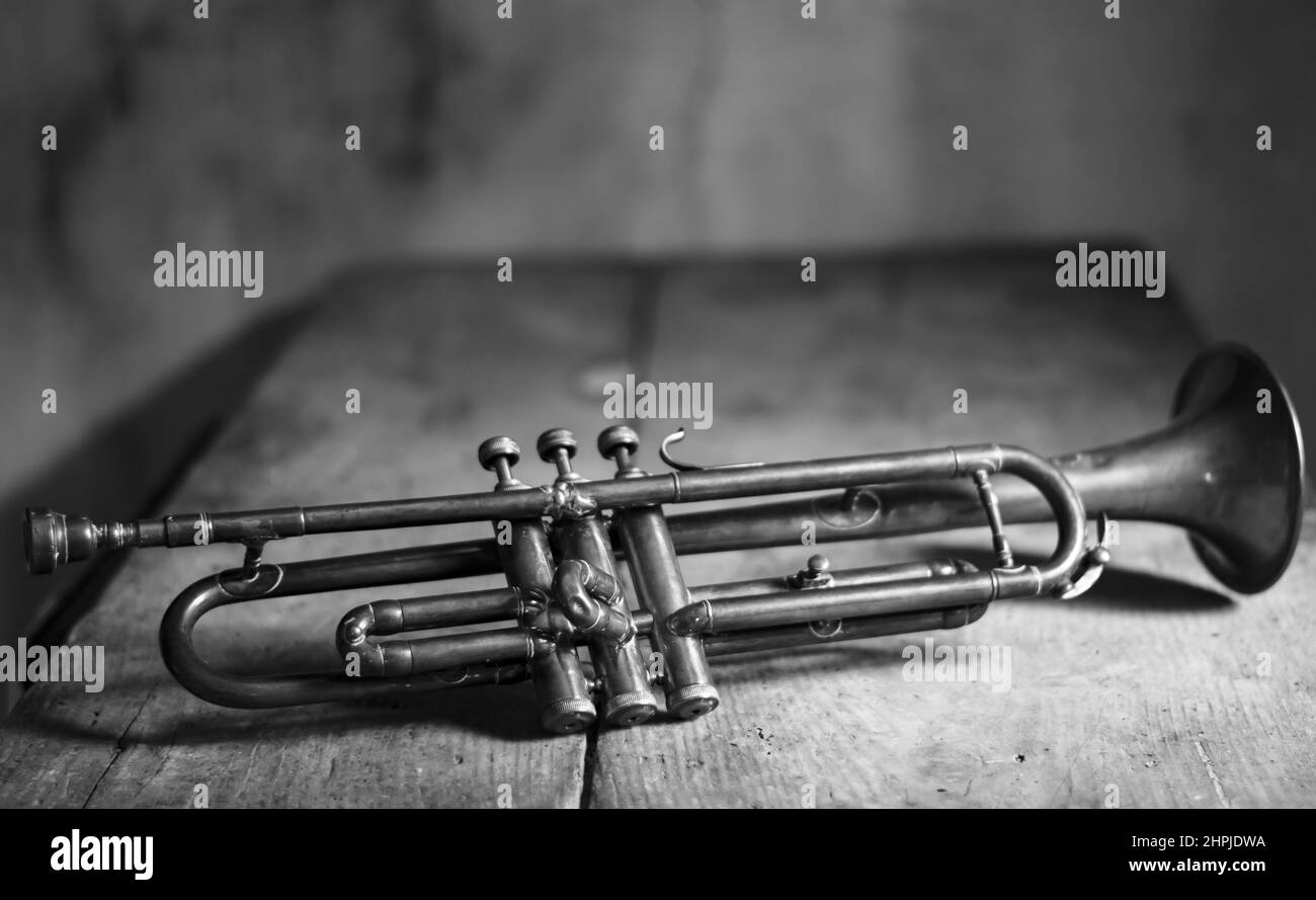 breves rencontres trumpet