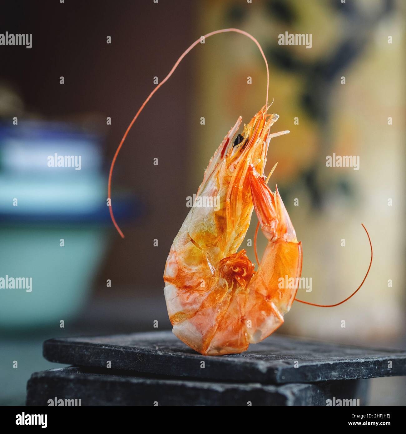 La crevette de la rivière Banque D'Images