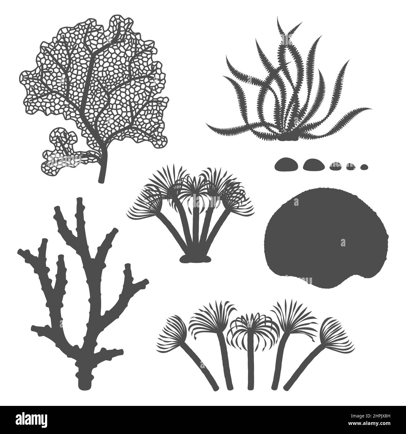 Jeu d'illustrations en noir et blanc avec coraux et algues.Objets vectoriels isolés sur fond blanc. Illustration de Vecteur