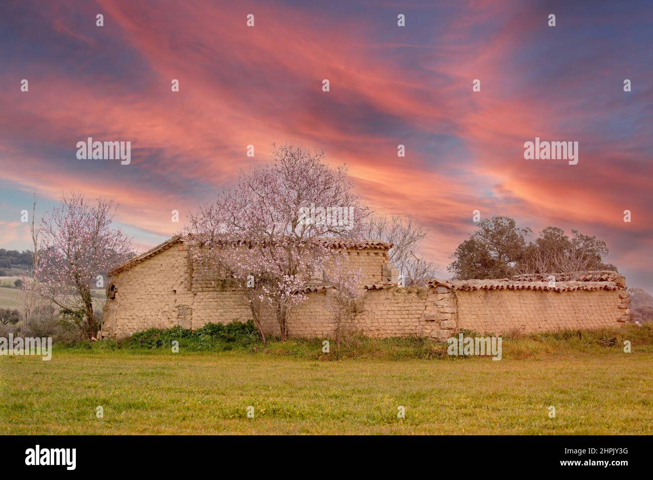 Magnifique lever de soleil au-dessus d'une maison en adobe avec un arbre en fleur Banque D'Images