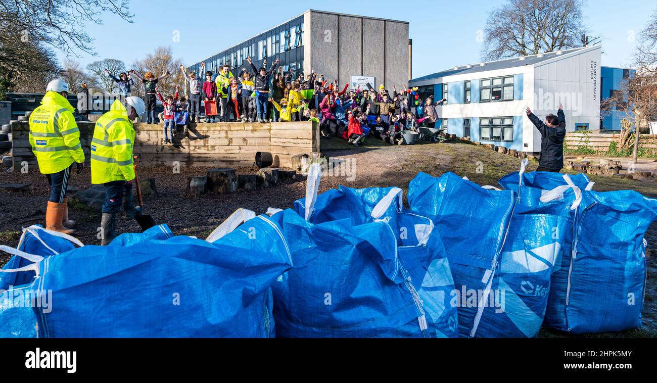 Trinity Primary School, Édimbourg, Écosse, Royaume-Uni, 22 février 2022. Terre végétale pour les écoles : excavation pendant le projet de biomes du jardin botanique royal, un surplus de terre végétale de 50 tonnes est accordé aux écoles, aux allotissements et aux organismes communautaires par la société de construction Balfour Beatty. Une livraison de 5 tonnes a lieu à l'école primaire Trinity pour transporter la terre ou la terre pour remplir les planteurs dans le jardin de l'école pour que les élèves cultivent des légumes. Les élèves du primaire 4 utilisent des récipients de toutes formes et tailles pour déplacer la terre pour remplir les planteurs ; un travail d'équipe est nécessaire Banque D'Images