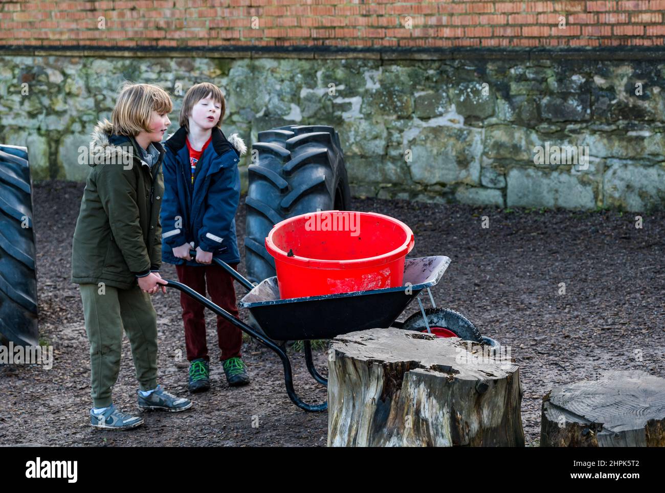 Trinity Primary School, Édimbourg, Écosse, Royaume-Uni, 22 février 2022. Terre végétale pour les écoles : excavation pendant le projet de biomes du jardin botanique royal, un surplus de terre végétale de 50 tonnes est accordé aux écoles, aux allotissements et aux organismes communautaires par la société de construction Balfour Beatty. Une livraison de 5 tonnes a lieu à l'école primaire Trinity pour transporter la terre ou la terre pour remplir les planteurs dans le jardin de l'école pour que les élèves cultivent des légumes. Les élèves du primaire 4 utilisent des récipients de toutes formes et tailles pour déplacer la terre pour remplir les planteurs ; un travail d'équipe est nécessaire Banque D'Images