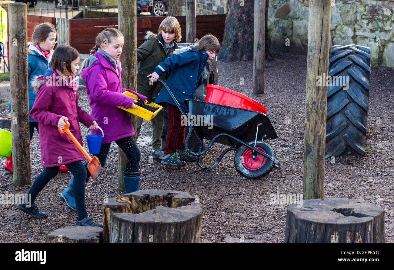 Trinity Primary School, Édimbourg, Écosse, Royaume-Uni, 22 février 2022. Terre végétale pour les écoles : excavation pendant le projet de biomes du jardin botanique royal, un surplus de terre végétale de 50 tonnes est accordé aux écoles, aux allotissements et aux organismes communautaires par la société de construction Balfour Beatty. Une livraison de 5 tonnes a lieu à l'école primaire Trinity pour transporter la terre ou la terre pour remplir les planteurs dans le jardin de l'école pour que les élèves cultivent des légumes. Les élèves du primaire 4 utilisent des récipients de toutes formes et tailles pour déplacer la terre pour remplir les planteurs ; un travail d'équipe est nécessaire Banque D'Images