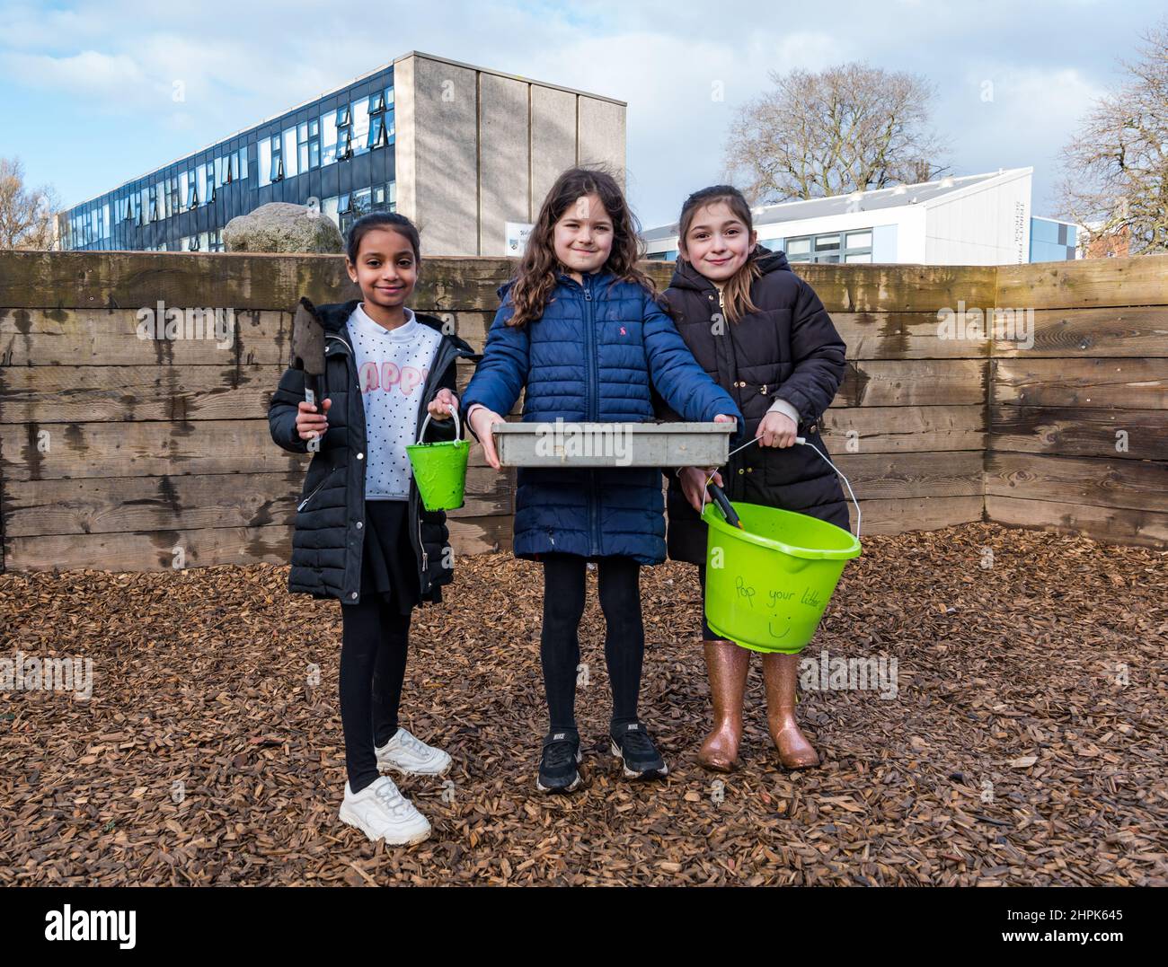 Trinity Primary School, Édimbourg, Écosse, Royaume-Uni, 22 février 2022. Terre végétale pour les écoles : excavation pendant le projet des biomes du jardin botanique royal, un surplus de terre végétale de 50 tonnes est accordé aux écoles, aux allotissements et aux organismes communautaires par Balfour Beatty. Une livraison de 5 tonnes a lieu à l'école primaire Trinity pour transporter la terre ou la terre pour remplir les planteurs dans le jardin de l'école pour que les élèves cultivent des légumes. Les élèves du primaire 4 utilisent des récipients de toutes formes et tailles pour déplacer la terre pour remplir les planteurs ; un travail d'équipe est nécessaire Banque D'Images