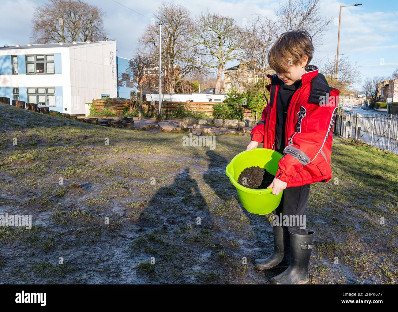 Trinity Primary School, Édimbourg, Écosse, Royaume-Uni, 22 février 2022. Terre végétale pour les écoles : excavation pendant le projet des biomes du jardin botanique royal, un surplus de terre végétale de 50 tonnes est accordé aux écoles, aux allotissements et aux organismes communautaires par Balfour Beatty. Une livraison de 5 tonnes a lieu à l'école primaire Trinity pour transporter la terre ou la terre pour remplir les planteurs dans le jardin de l'école pour que les élèves cultivent des légumes. Les élèves du primaire 4 utilisent des récipients de toutes formes et tailles pour déplacer la terre pour remplir les planteurs ; un travail d'équipe est nécessaire Banque D'Images