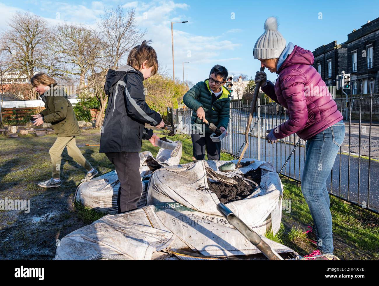 Trinity Primary School, Édimbourg, Écosse, Royaume-Uni, 22 février 2022. Terre végétale pour les écoles : excavation pendant le projet des biomes du jardin botanique royal, un surplus de terre végétale de 50 tonnes est accordé aux écoles, aux allotissements et aux organismes communautaires par Balfour Beatty. Une livraison de 5 tonnes a lieu à l'école primaire Trinity pour transporter la terre ou la terre pour remplir les planteurs dans le jardin de l'école pour que les élèves cultivent des légumes. Les élèves du primaire 4 utilisent des récipients de toutes formes et tailles pour déplacer la terre pour remplir les planteurs ; un travail d'équipe est nécessaire Banque D'Images
