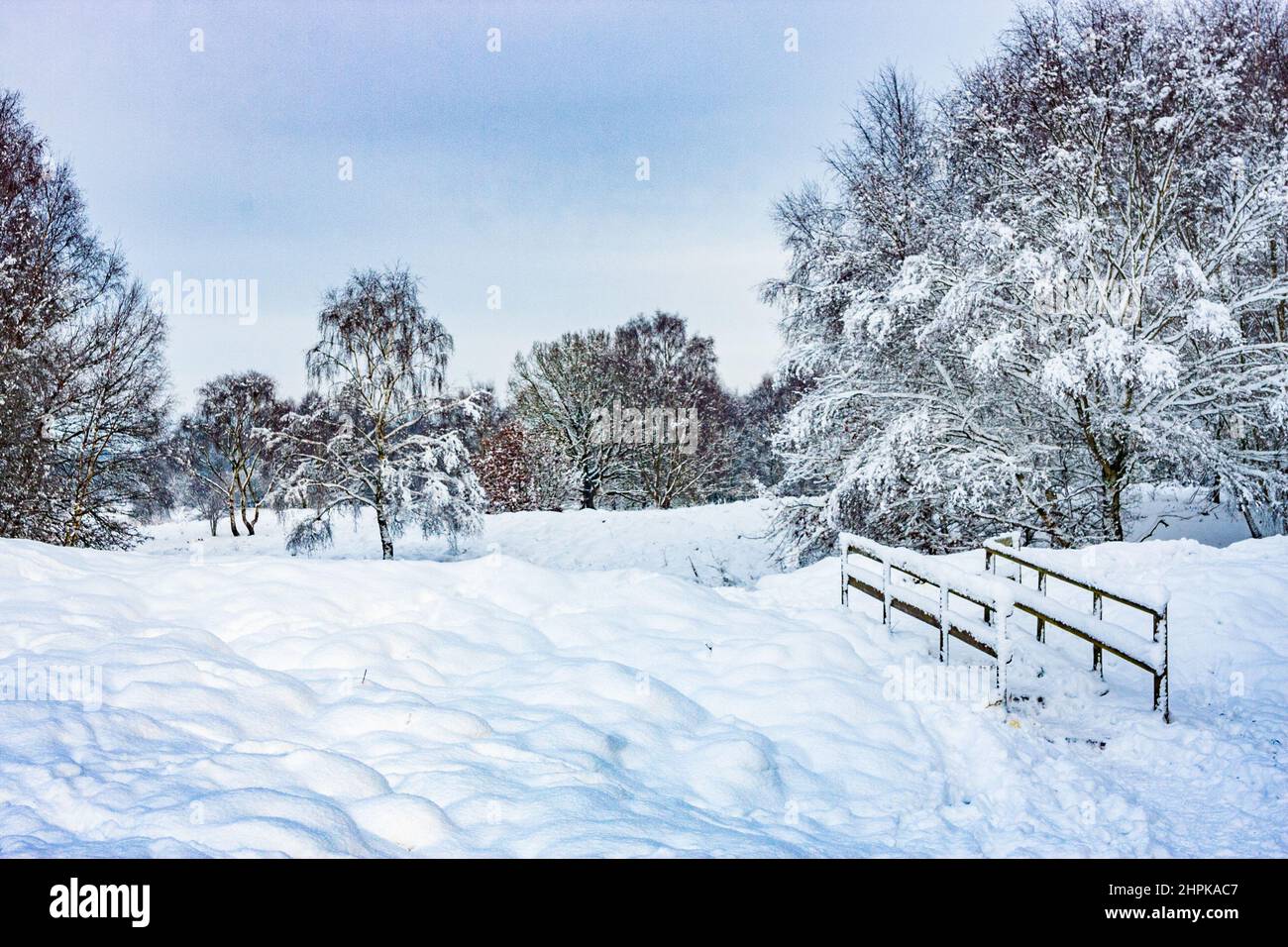 Une scène typique de paysage d'hiver en Angleterre, en Grande-Bretagne Banque D'Images
