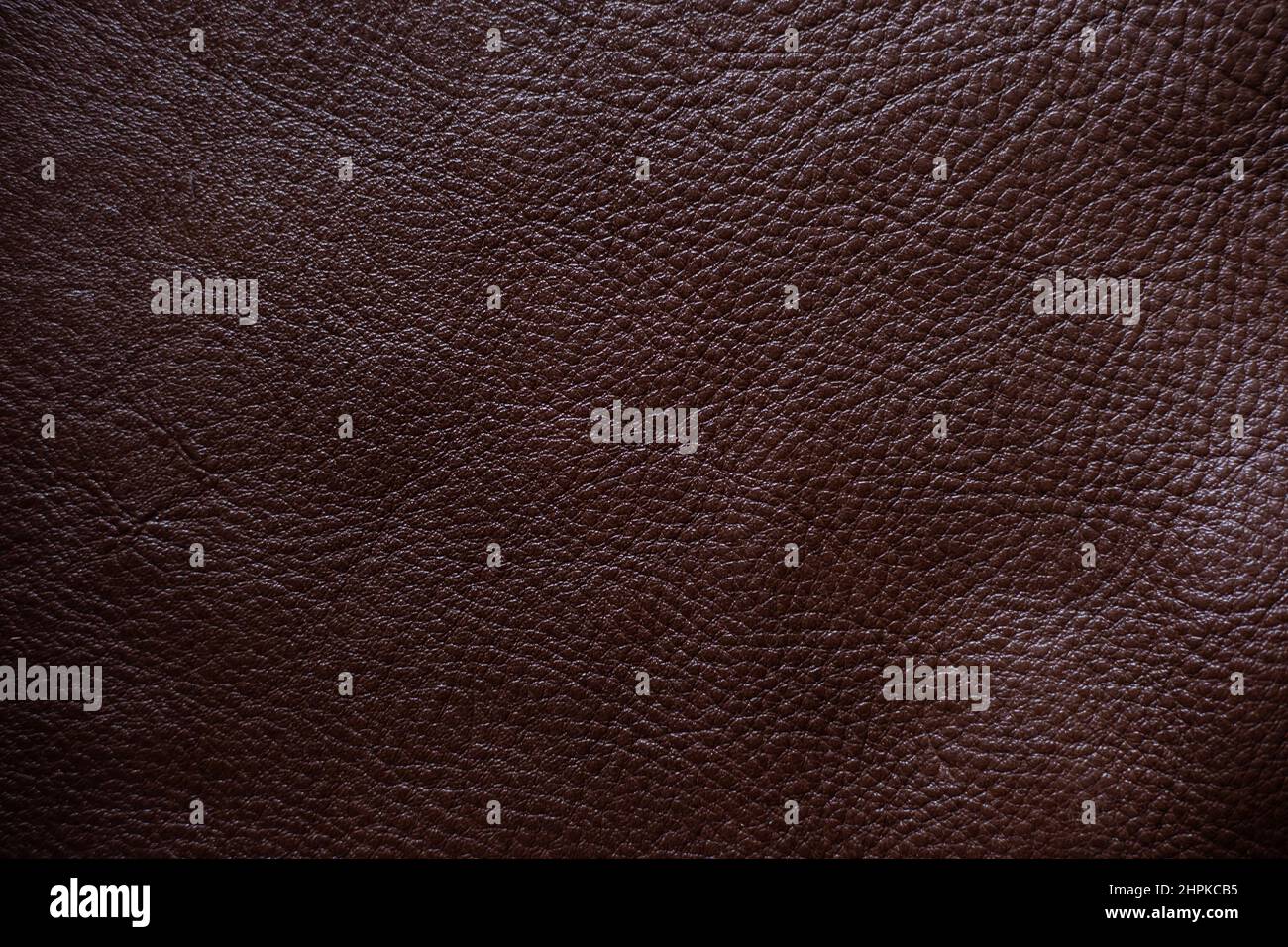 Véritable cuir de vache pleine fleur texture cuir de vache arrière-plan Banque D'Images