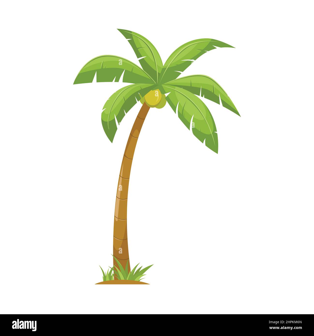 arbre de noix de coco, dessin vectoriel de palmier Illustration de Vecteur