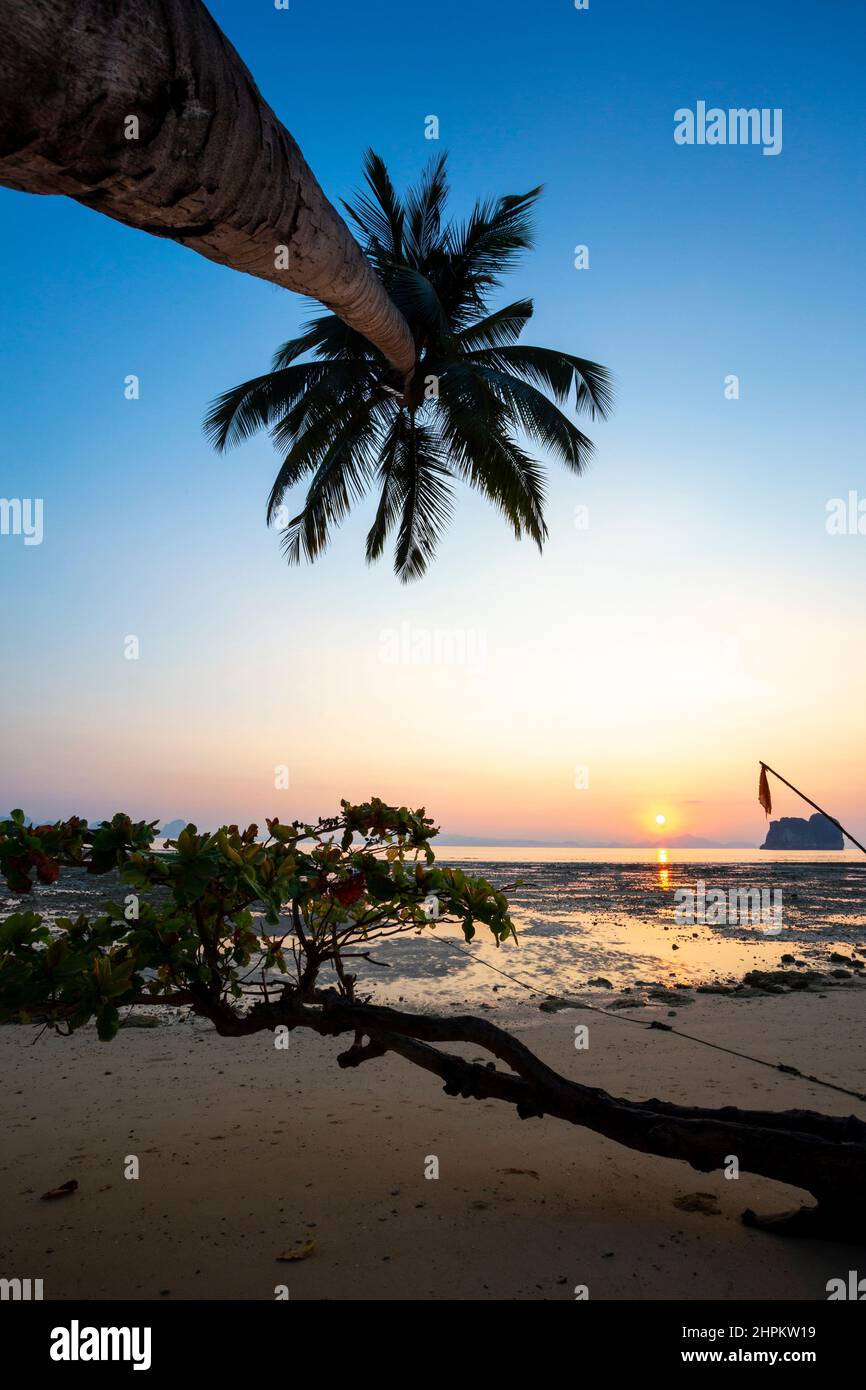 Lumière avant le lever du soleil à Koh (île) Ngai, province de Trang, Thaïlande. Banque D'Images