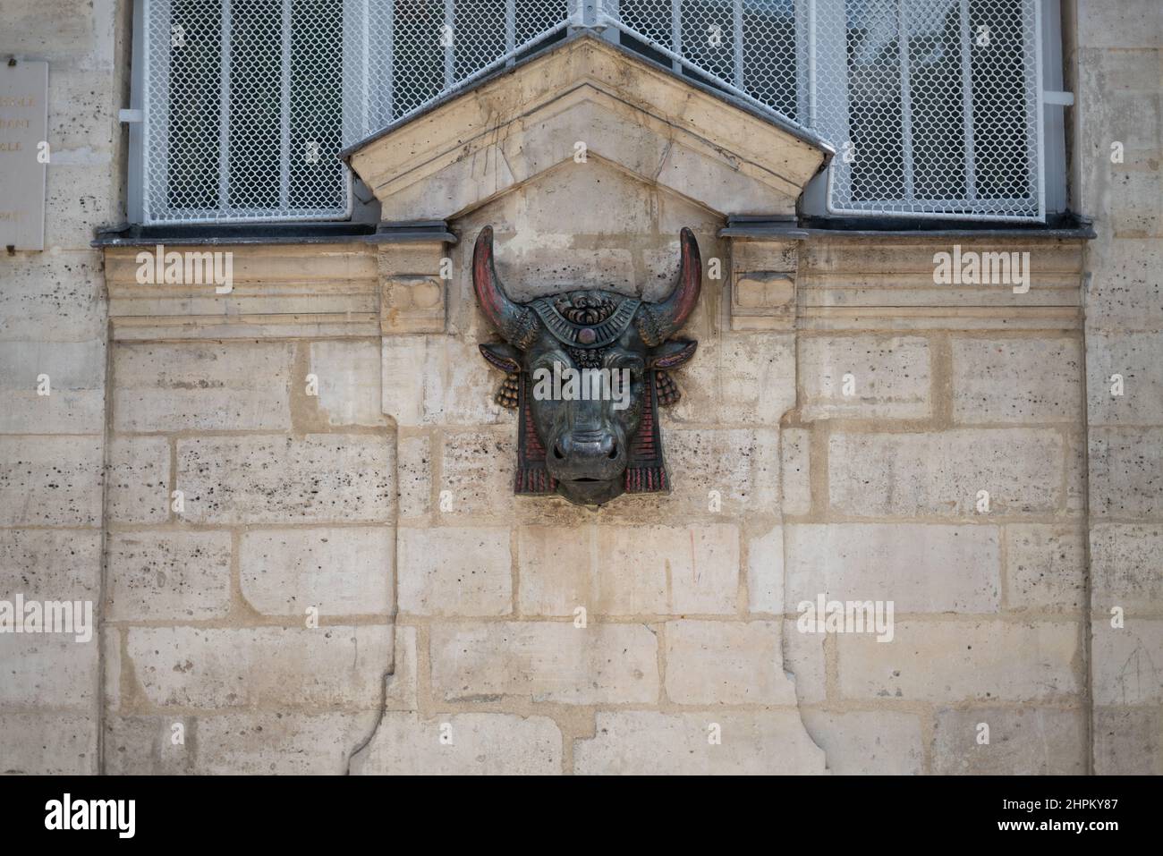 Gros plan d'une statue de taureau à Paris, France Banque D'Images