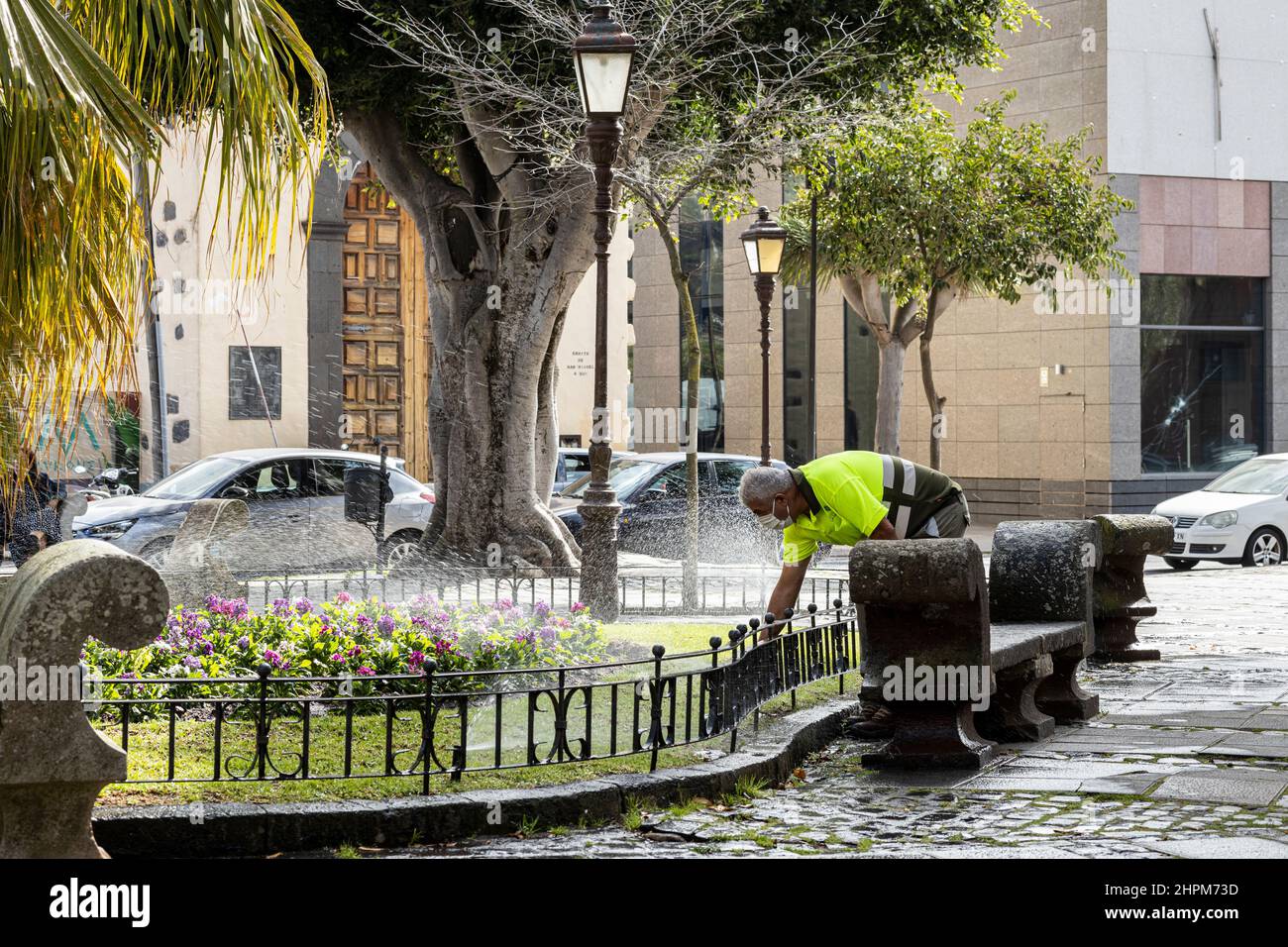 Jardinier en hiviz arrosant les plantes de la Plaza de Adelantado dans le site du patrimoine mondial de San Cristobal de la Laguna, Tenerife, île des Canaries Banque D'Images