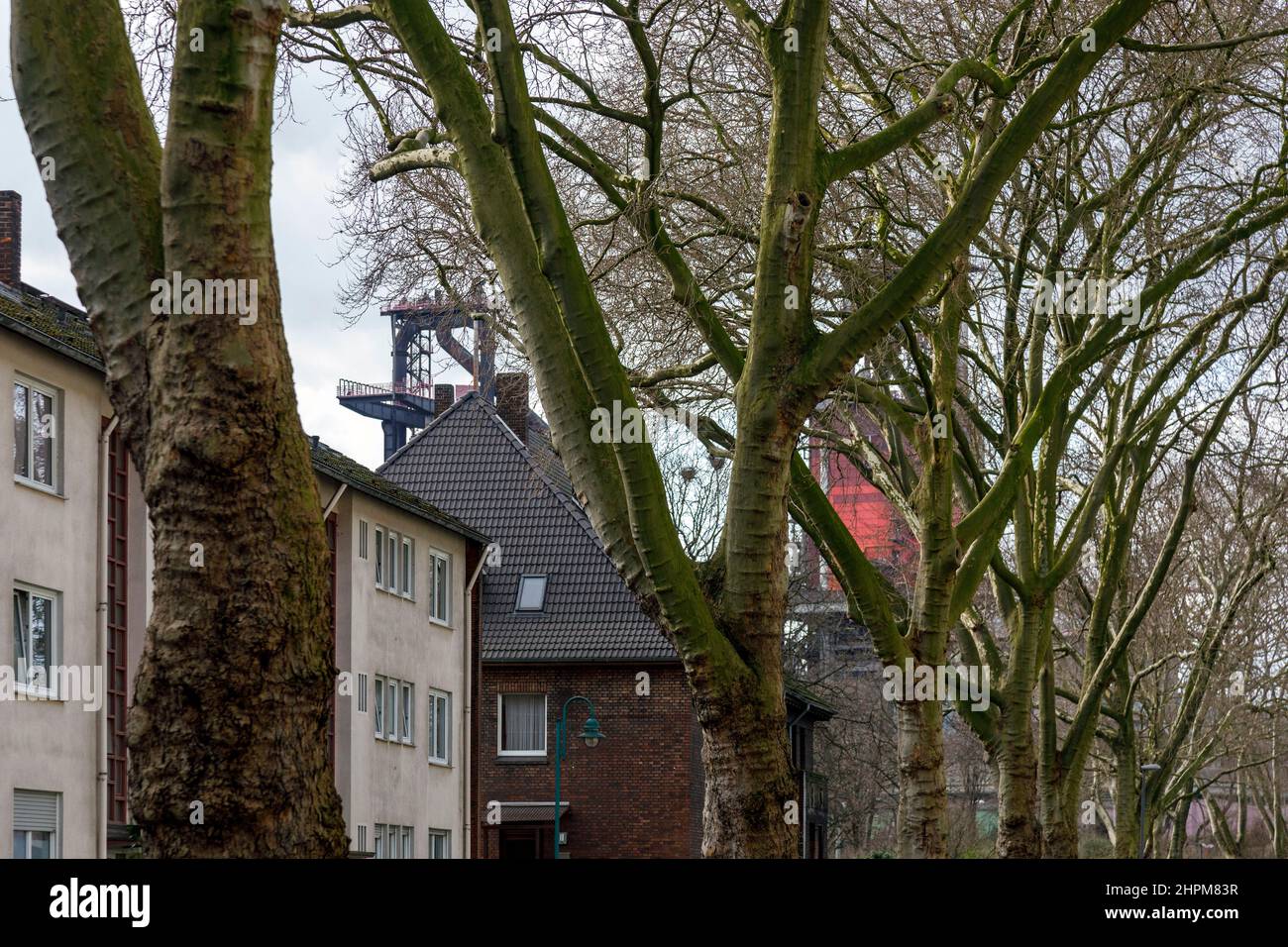 Zone résidentielle de Duisburg-Bruckhausen, derrière elle un décor industriel avec un haut fourneau de ThyssenKrupp Steel Europe AG Banque D'Images