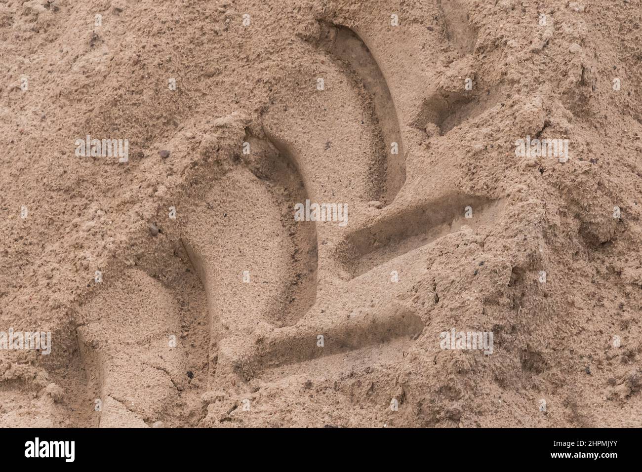 Industrie de la route terrestre sol piste trace modèle industriel sur la surface d'entraînement de texture de sable. Banque D'Images