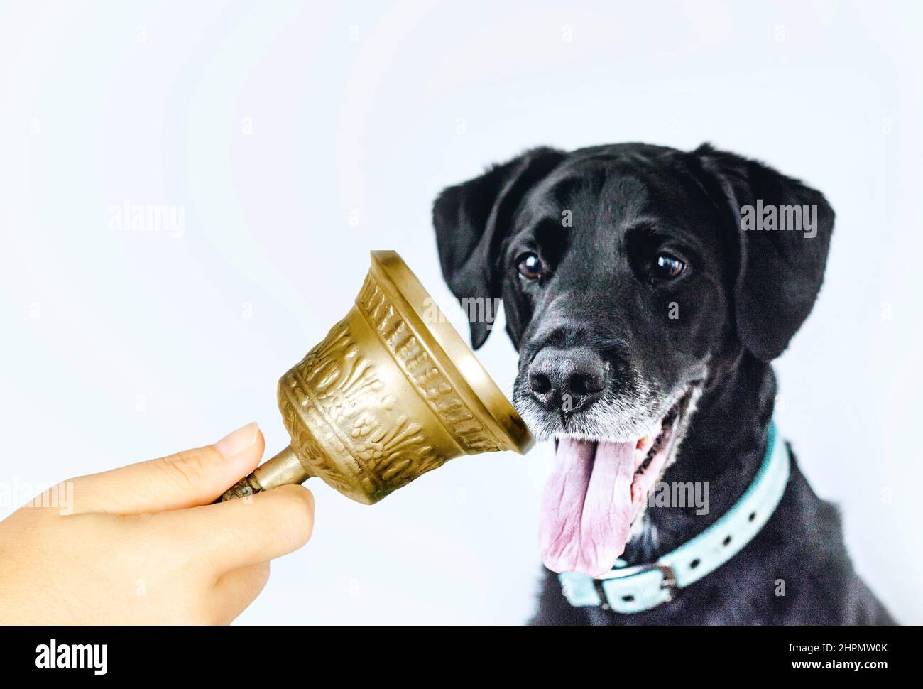 Climatisation Pavlovienne Banque D'Images