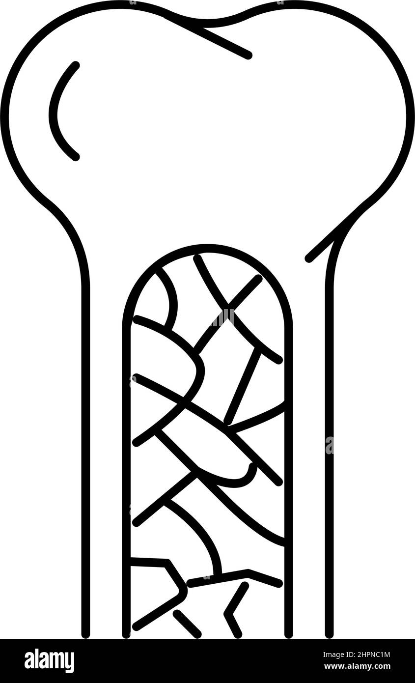 illustration vectorielle de l'icône de la moelle osseuse Illustration de Vecteur