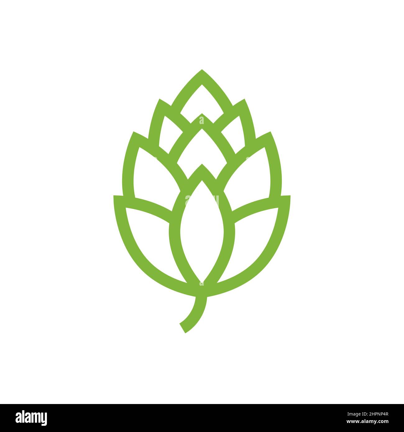 Icône HOP vecteur bière cône pin illustration feuille art bouton décoration verte. Icône du houblon frais de bière isolée Illustration de Vecteur